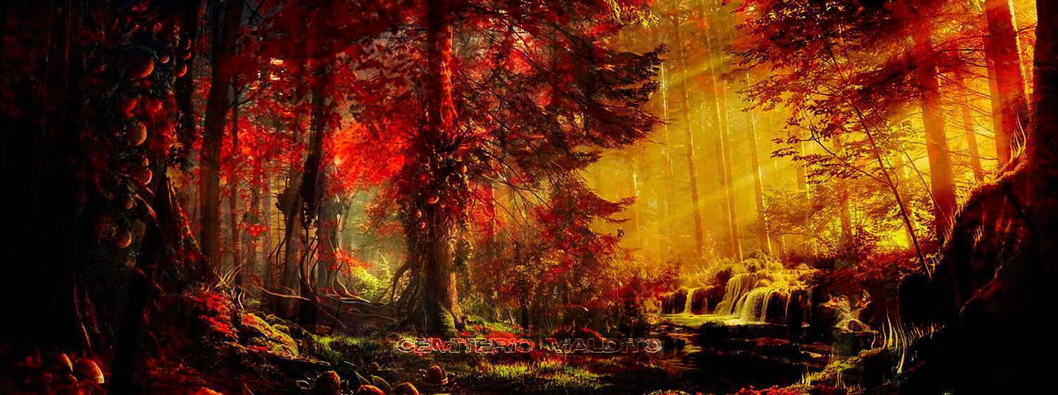 O Bosque
