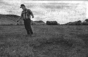 Terry Sherman Marking