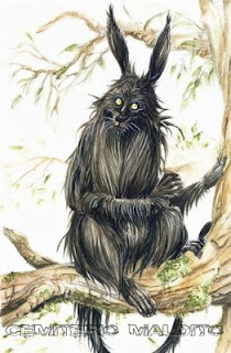 Púca