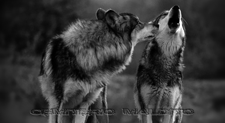 Lobos